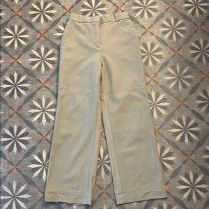 Babaton Taupe Trousers
